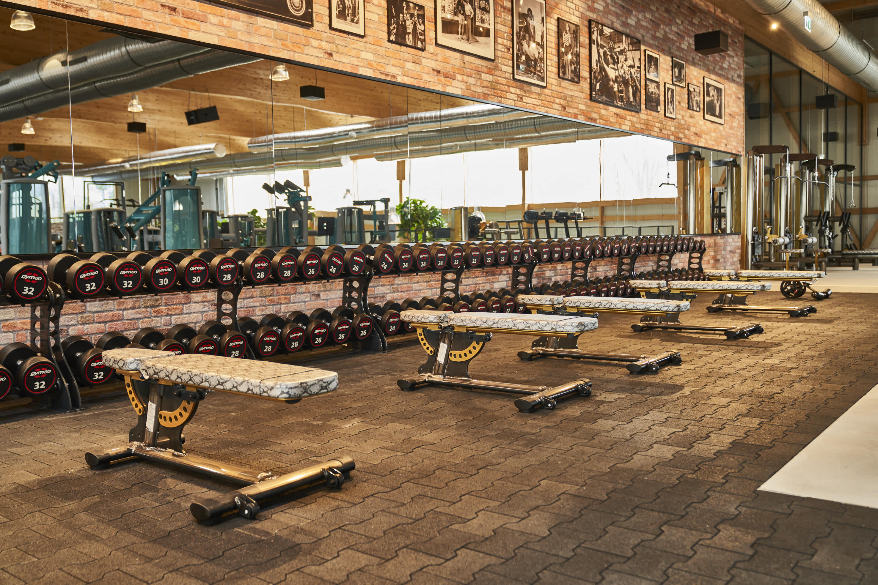 Gold's gym store online outlet